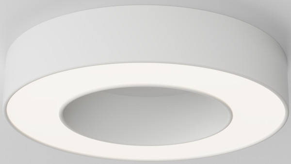 Потолочный светильник Maytoni Ceiling C093CL-24W4K-W - фото