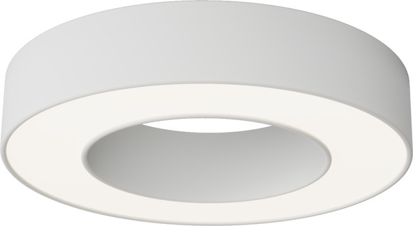 Потолочный светильник Maytoni Ceiling C093CL-24W4K-W