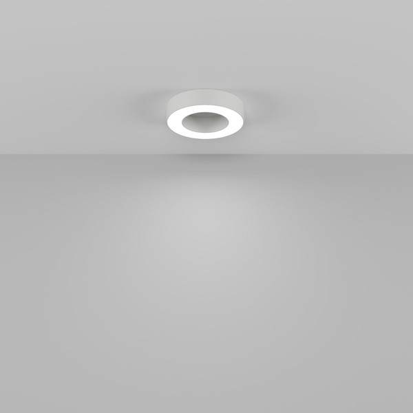 Потолочный светильник Maytoni Ceiling C093CL-24W4K-W