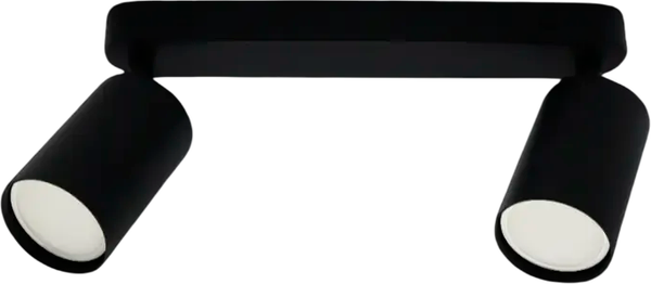 Спот Truenergy 21360 - фото