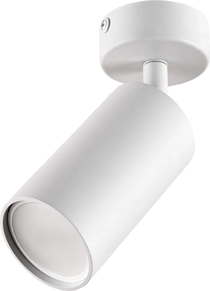 Спот Truenergy 21330 - фото