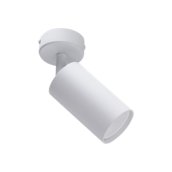 Спот Truenergy 21330