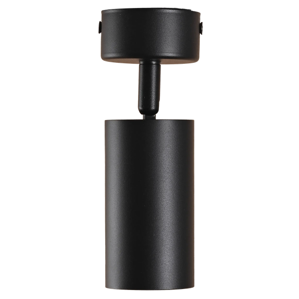 Спот Truenergy 21331