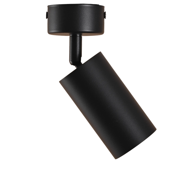 Спот Truenergy 21331