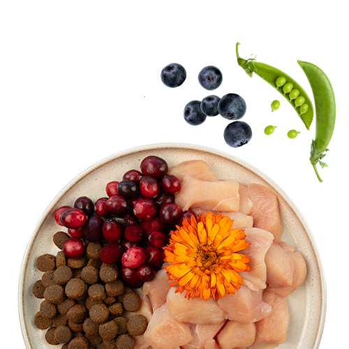 Сухой корм для кошек Bosch Petfood Sanabelle Grande New