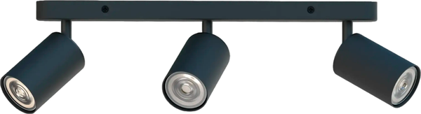 Спот Truenergy 21362 - фото