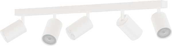 Спот Truenergy 21371