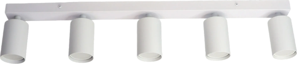 Спот Truenergy 21371