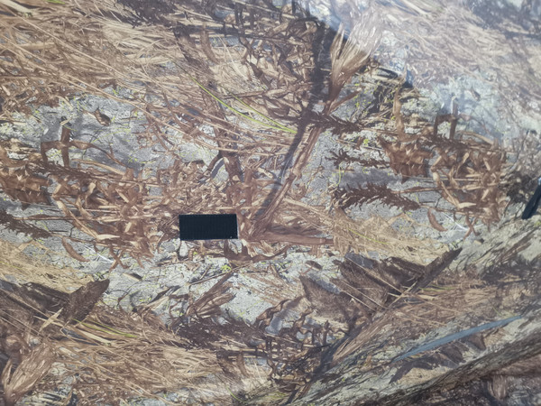 Палатка Пингвин Shelters MrFisher Лонг 290 (камуфляж)