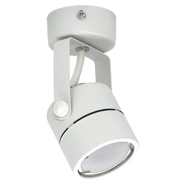 Спот Truenergy 21344