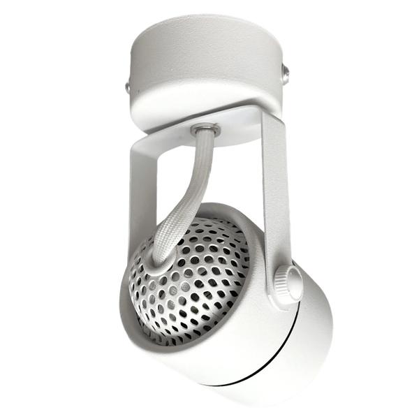 Спот Truenergy 21344