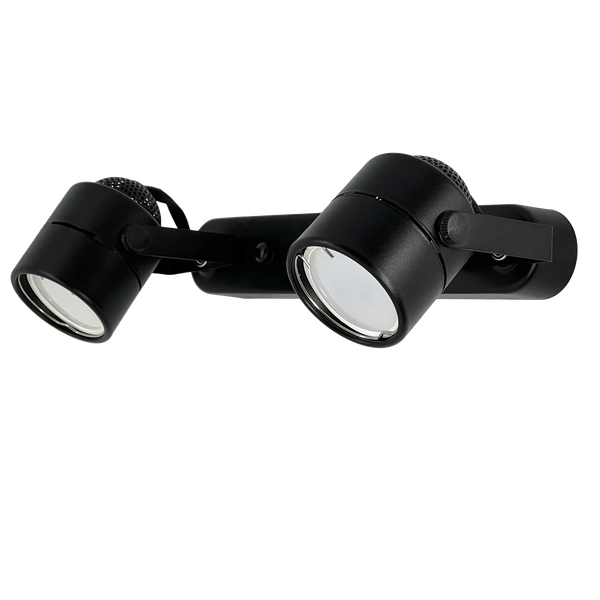 Спот Truenergy 21352