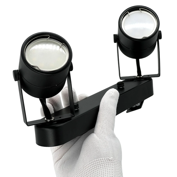 Спот Truenergy 21352