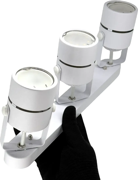 Спот Truenergy 21357