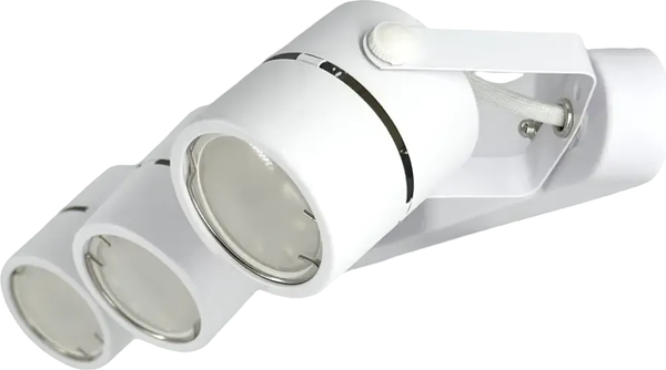 Спот Truenergy 21357