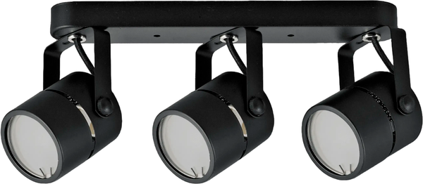 Спот Truenergy 21356 - фото