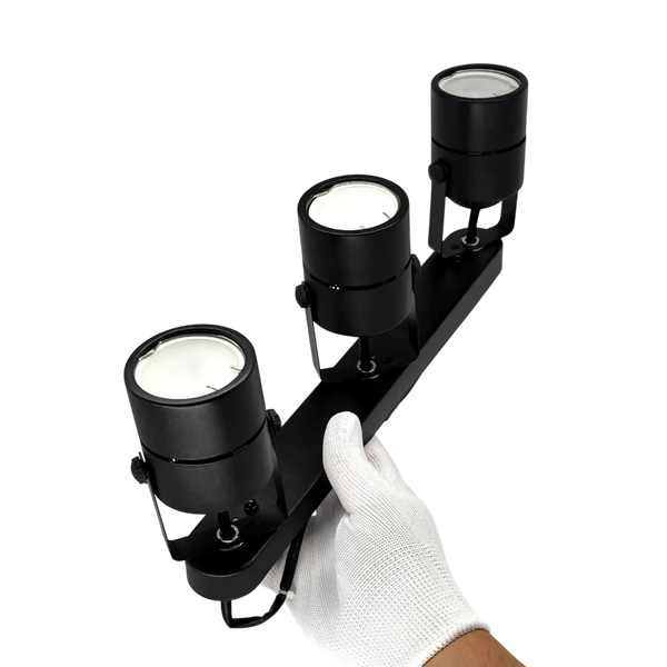 Спот Truenergy 21356