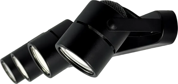 Спот Truenergy 21358