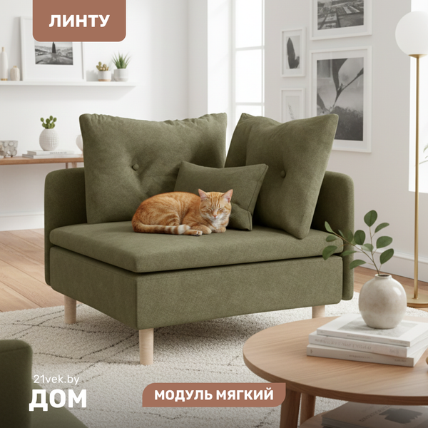 Модуль мягкий Mio Tesoro Линту Lintu Rog - фото