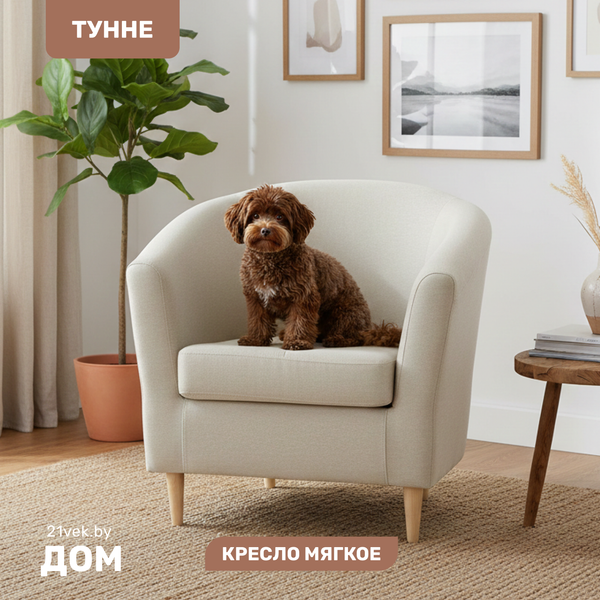 Кресло мягкое Mio Tesoro Тунне - фото