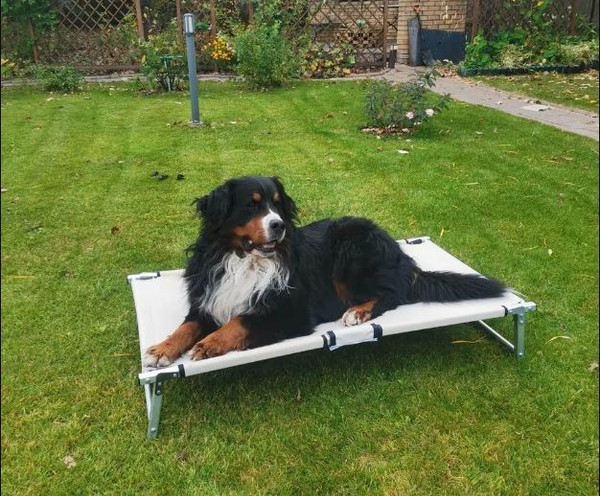 Раскладушка для животных Пингвин Shelters 100x70 / 32111