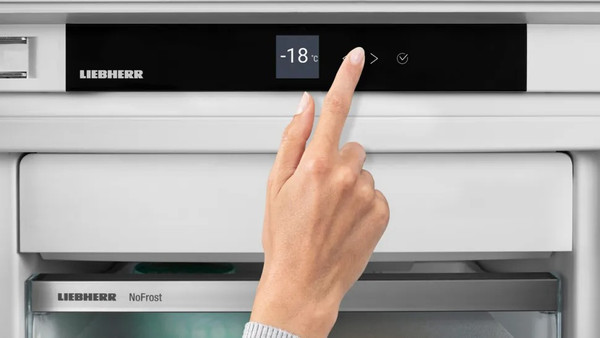 Холодильник без морозильника Liebherr Rsfd 5220-22 001