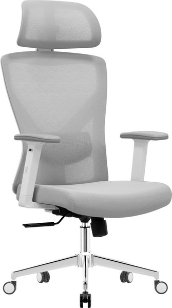 Кресло офисное Evolution ErgoLine 2 - фото