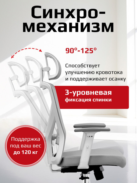 Кресло офисное Evolution ErgoLine 2