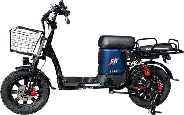 Электровелосипед Smart Balance Master Pro 30A - фото