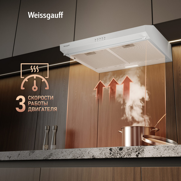 Вытяжка скрытая Weissgauff Cover 600