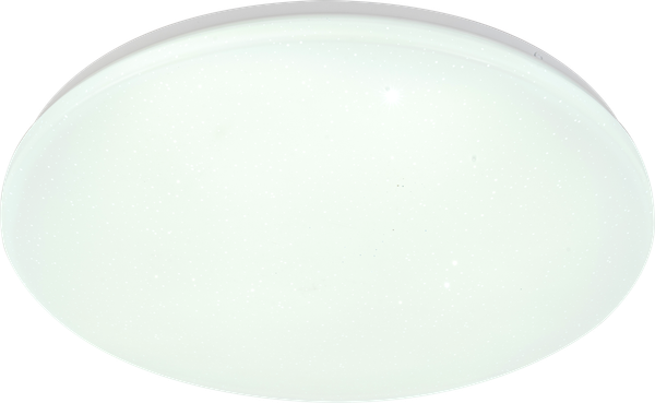 Потолочный светильник ESCADA 10213/SG LED - фото