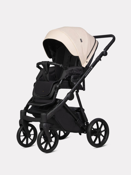 Детская универсальная коляска Riko Montana X Ecco 2 в 1