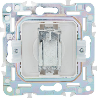 Розетка IEK Skandy SK-A10-O-K23