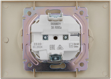 Розетка IEK Skandy SK-R23-10-K98-F