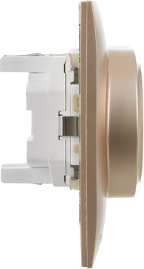 Розетка IEK Skandy SK-R24-16-K98-F