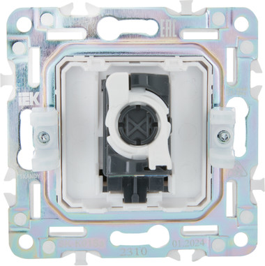 Розетка IEK Skandy SK-K10-1-K98