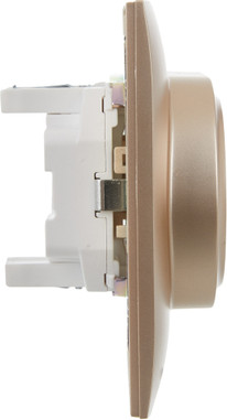 Розетка IEK Skandy SK-R21-16-K98-F