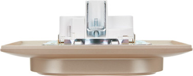 Розетка IEK Skandy SK-R21-16-K98-F