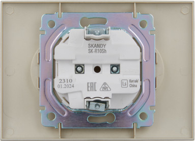 Розетка IEK Skandy SK-R20-10-K37-F
