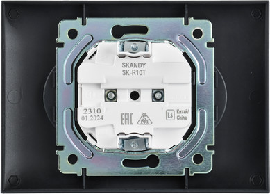 Розетка IEK Skandy SK-R20-10-K48-F