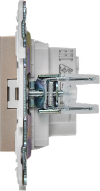 Розетка IEK Skandy SK-R13-10-K98