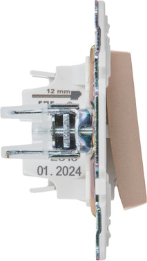 Выключатель IEK Skandy SK-V12-1-10-K98