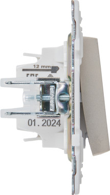 Выключатель IEK Skandy SK-V10-1-10-K37