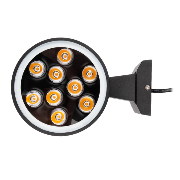 Бра уличное JAZZway PWL-200110/30D 1x9Вт 3000К / 5064614