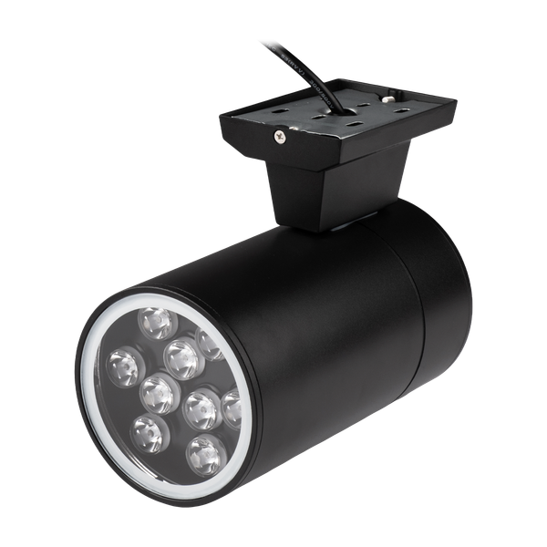 Бра уличное JAZZway PWL-200110/30D 1x9Вт 3000К / 5064614