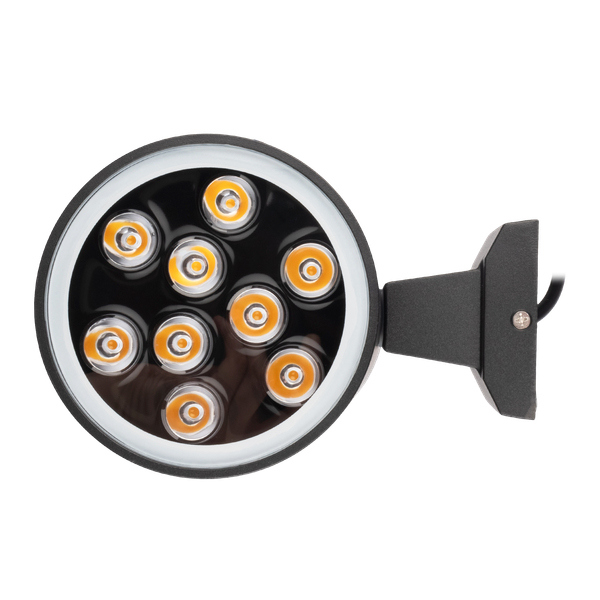 Бра уличное JAZZway PWL-300110/30D 2х9Вт 3000К / 5064638