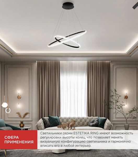 Потолочный светильник INhome Estetika Ring-Mystery-95RC-2BL / 4690612062525