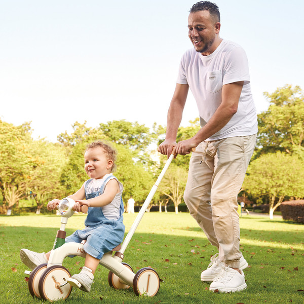 Беговел Hape Step-by-Step / E1225_HP