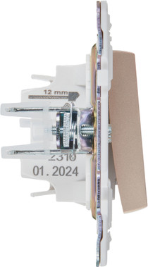 Выключатель IEK Skandy SK-V10-0-10-K98