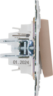 Выключатель IEK Skandy SK-V10-1-10-K98